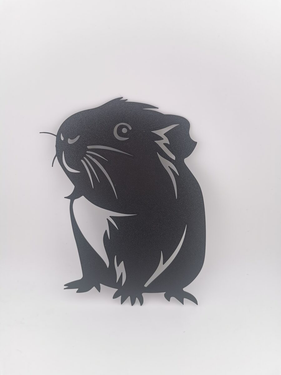 2d Guinea Pig - thumbnail 2